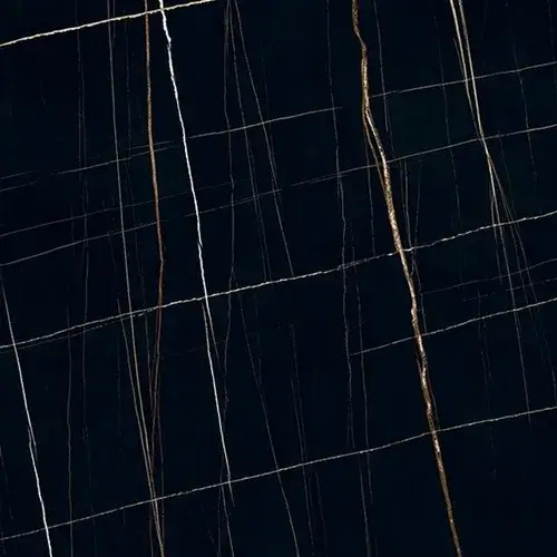 noir aziza
